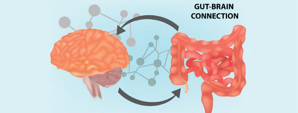 The Gut-Brain Connection: How Nutrition Impacts Mental&nbsp;Health
