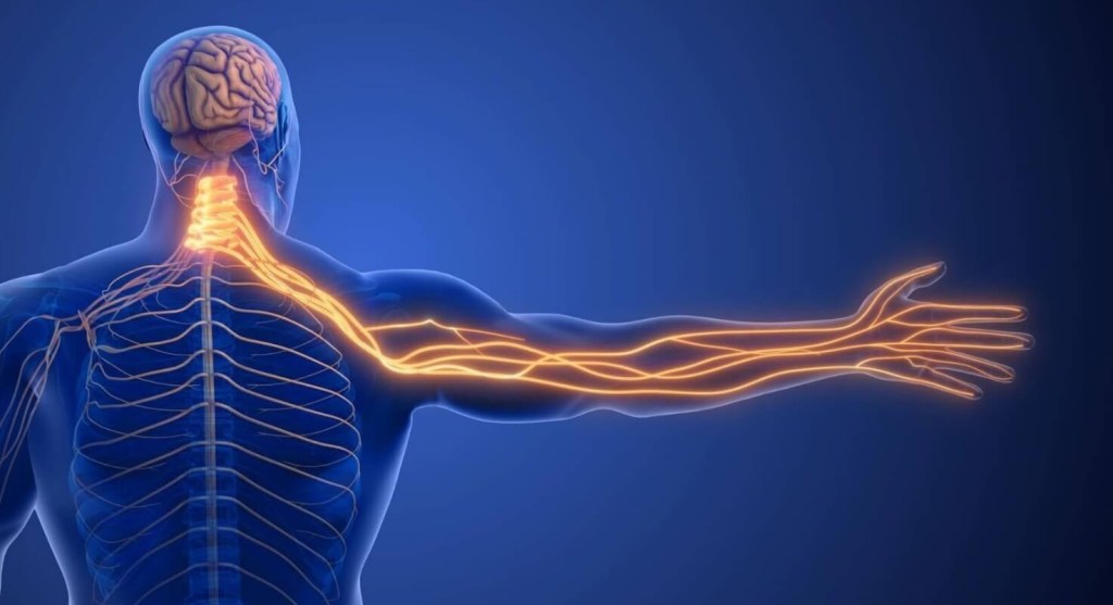 Peripheral Nerve Stimulation Cost in St. Pete Clinic&nbsp;today!